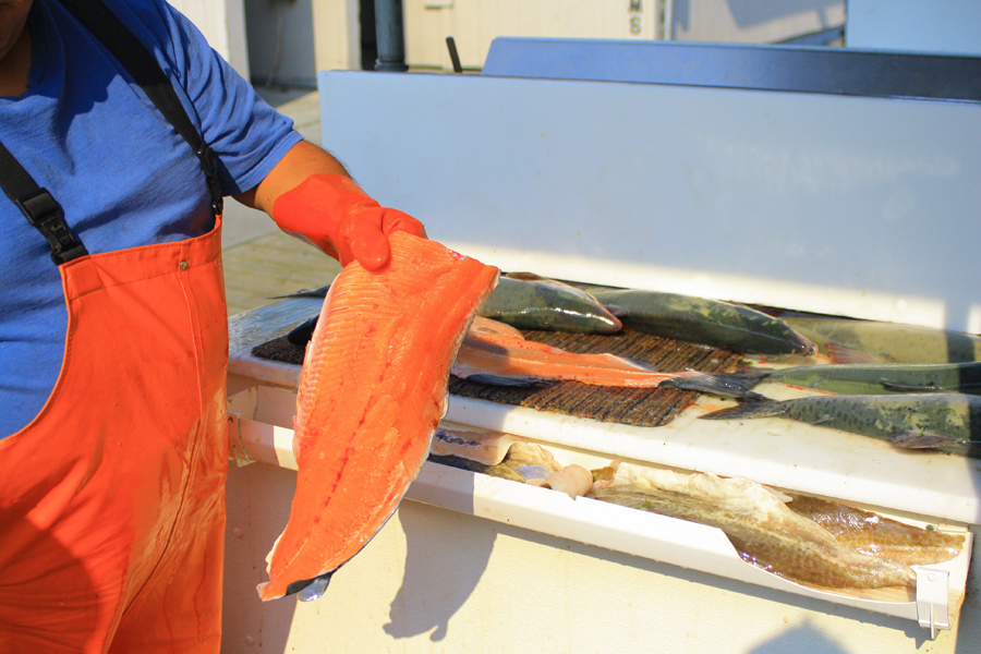 when do salmon run in ketchikan alaska