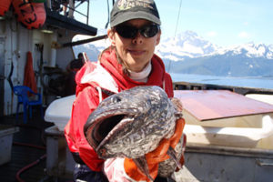 Sablefish