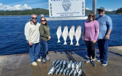 A good 4 hours this morning out with Captain Murray!!!  Limits of Halibut and al…