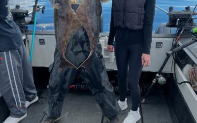 Pulling the halibut in two at a time out with Captain Danny!!